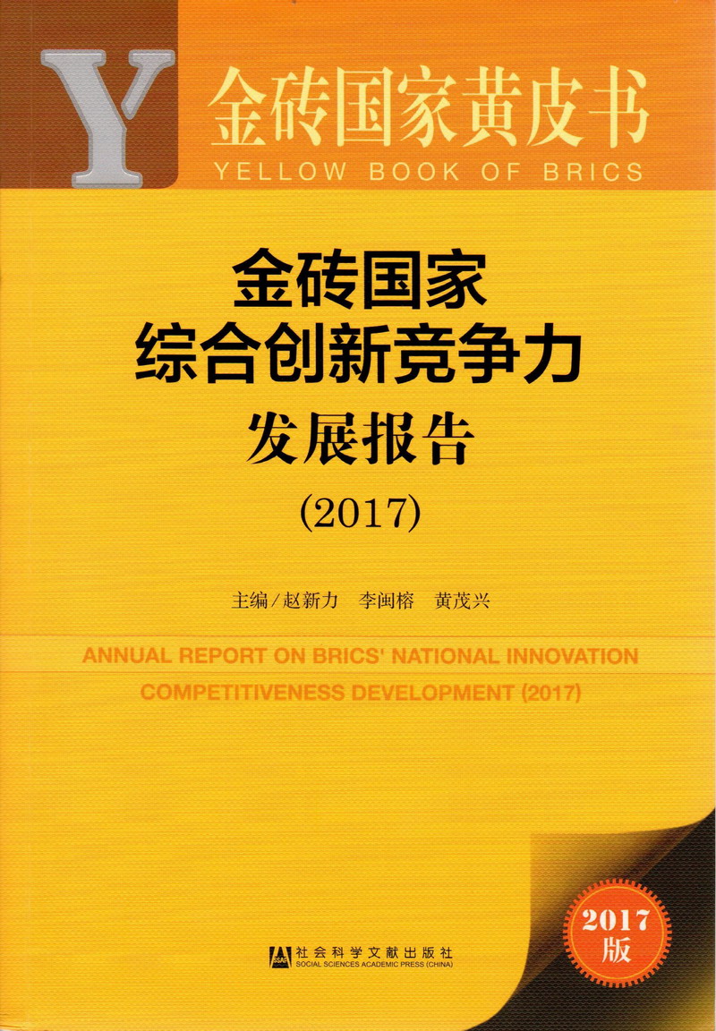 大屌插两少妇内射金砖国家综合创新竞争力发展报告（2017）